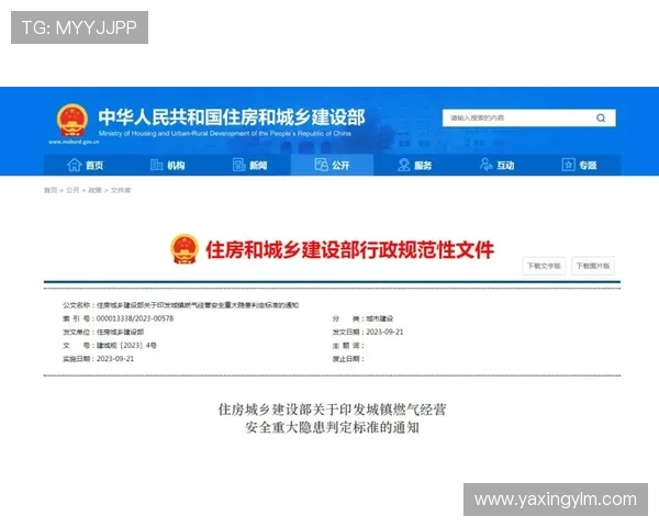 亚星正网登录 安全登录环境设置指南，确保每次登录都安全无忧享受畅快游戏时光