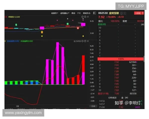 亚星游戏入口论坛官方入口地址及安全登录指南详解