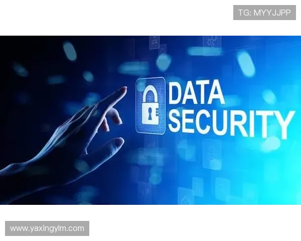 亚星管理登录地址安全保障措施,保障企业数据安全与隐私保护 亚星管理登录地址安全保障措施,保障企业数据安全与隐私保护