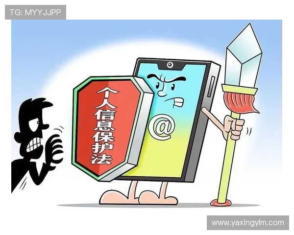 亚星娱乐旗舰厅官方地址查询的安全性分析与用户隐私保护措施