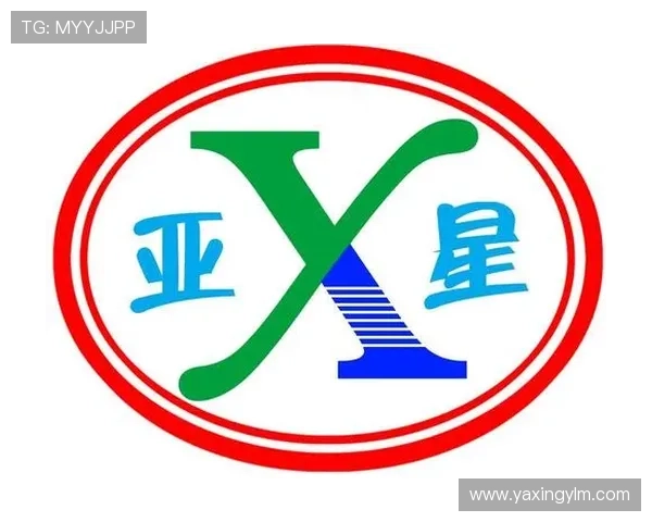 亚星游戏端入口安全登录技巧及账号保护措施全面解析