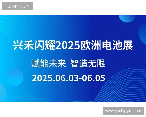掌握亚星222登录方式避免登录困难的实用指南 掌握亚星222登录方式避免登录困难的实用指南