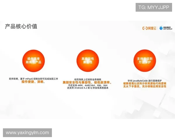 亚星娱乐app手机安全性分析,保障用户个人信息和资金安全的实用建议 亚星娱乐app手机安全性分析,保障用户个人信息和资金安全的实用建议